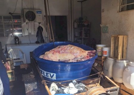 Polícia Civil e IAGRO apreendem quase duas toneladas de carne imprópria para consumo
