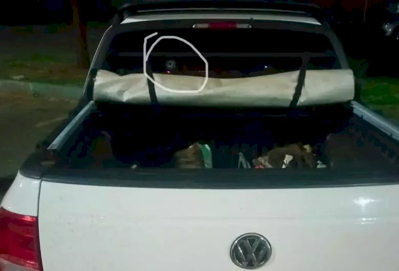 Idoso é baleado na cabeça ao fugir de assalto em ponte na MS-382