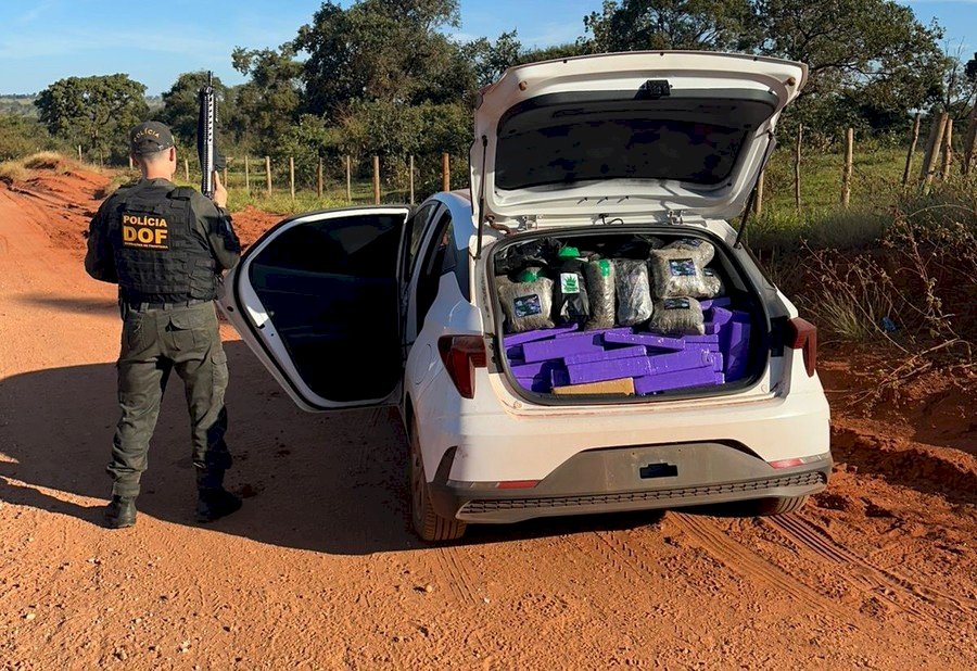 DOF apreende veículo com quase 800 quilos de drogas