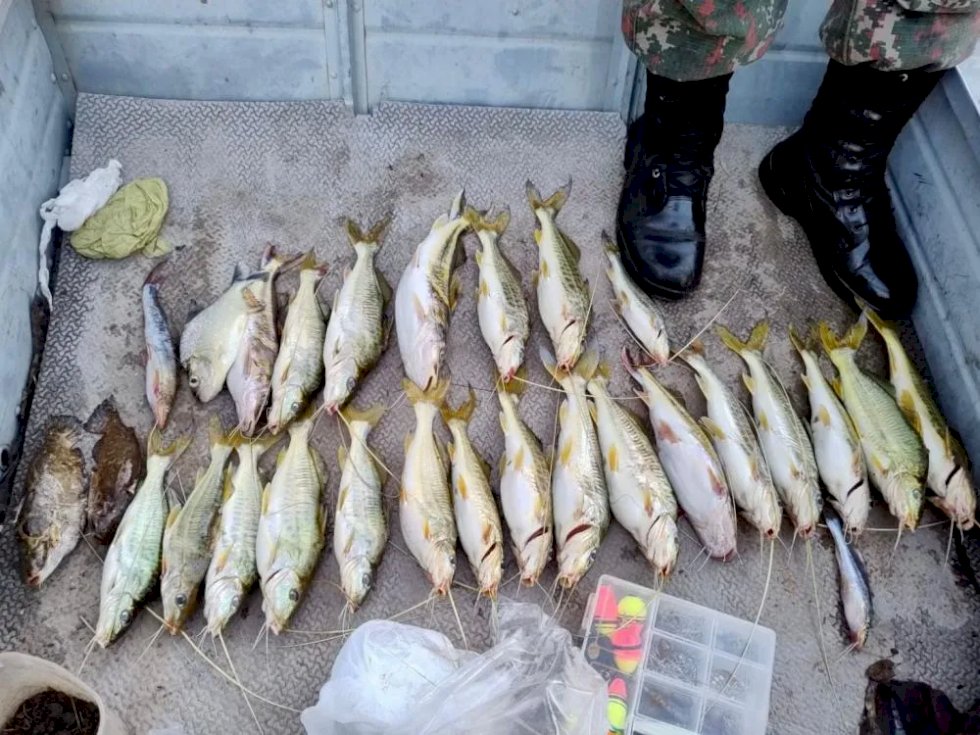 Pescadores profissional e amadores são presos por pesca ilegal no Rio Pardo, em Bataguassu