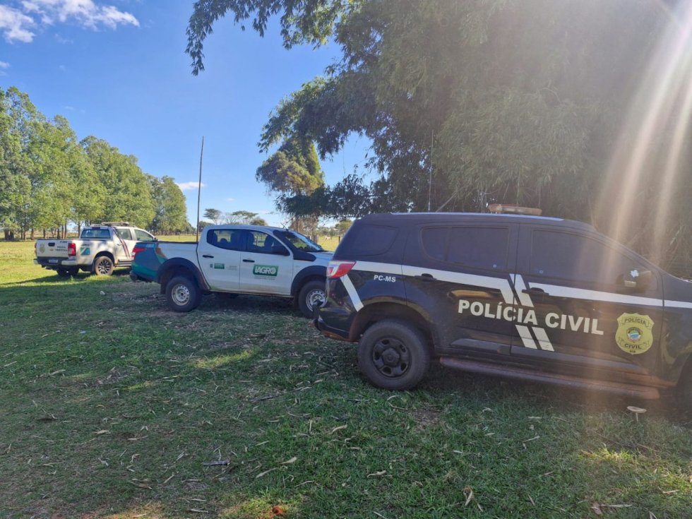 Polícia Civil deflagra operação contra furto e adulteração de gado