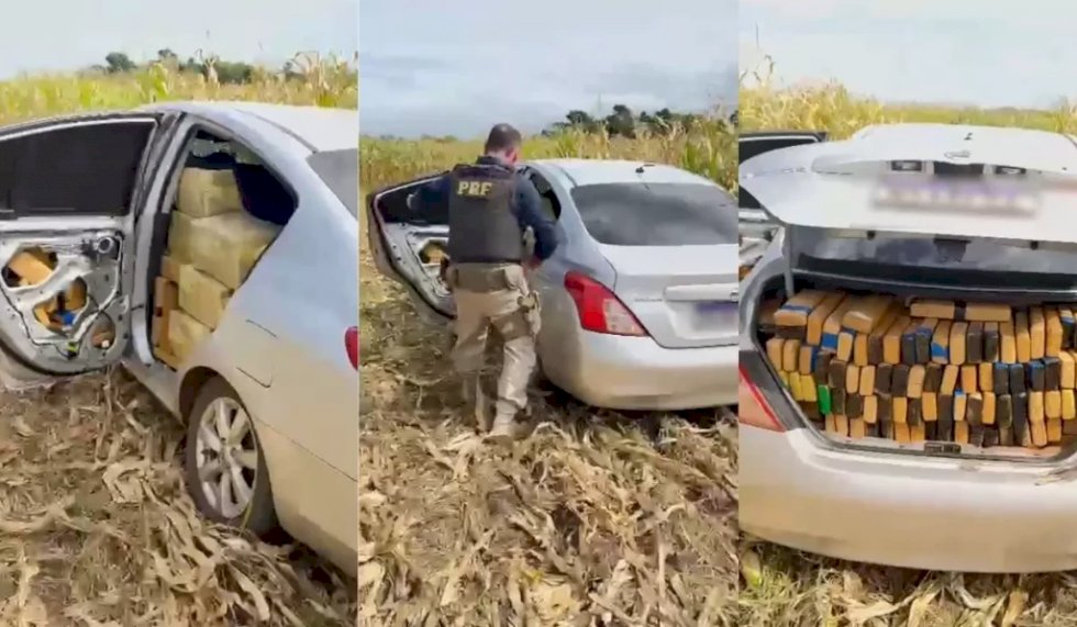 PRF apreende 1,2 tonelada de maconha