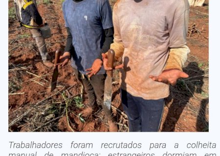 Força-tarefa resgata sete paraguaios vítimas de escravidão contemporânea