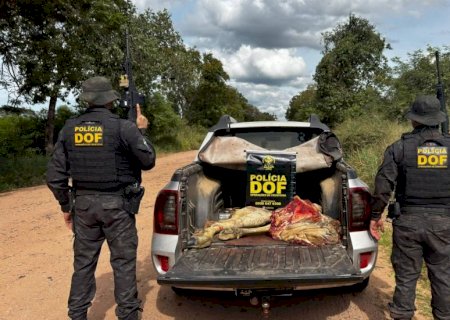 DOF prende cinco pessoas pelo crime de abigeato