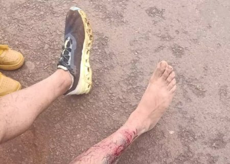 Lutador imobiliza dois pit bulls para escapar de ataque na rua