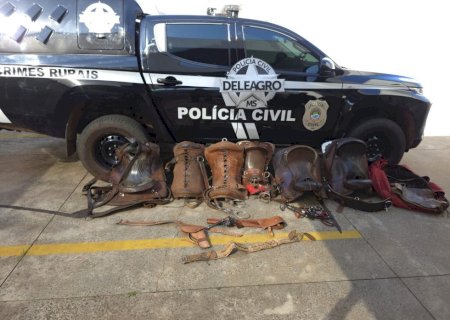 Polícia Civil prende homem por apropriação indébita em propriedade rural