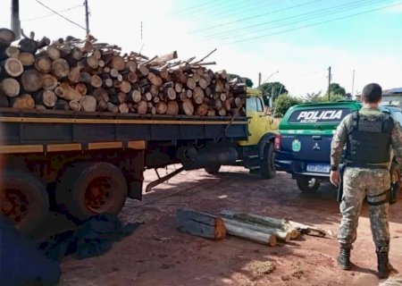 Polícia Ambiental apreende carga de madeira nativa e multa madeireira e transportadora em Anaurilândia
