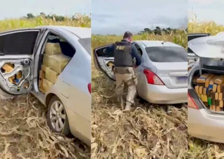 PRF apreende 1,2 tonelada de maconha
