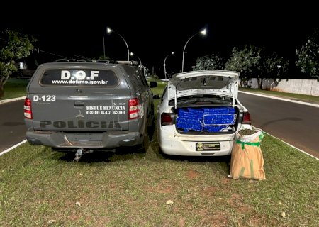 DOF apreende mais de 160 quilos de drogas que seguiam para Minas Gerais