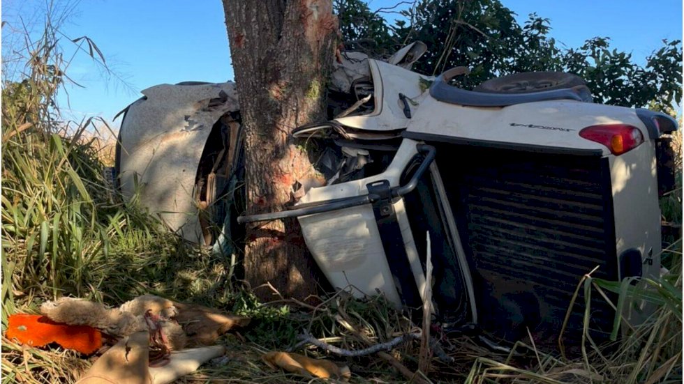 Três morrem e uma fica ferida após caminhonete colidir com árvore em MS