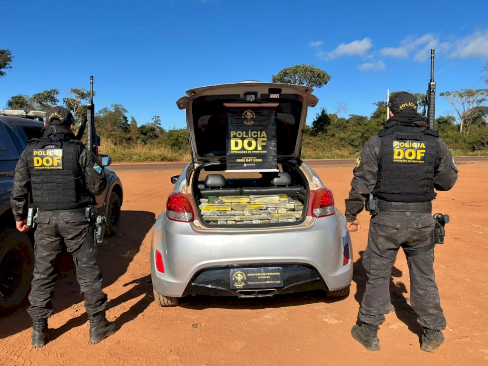 Carro com mais de 330 quilos de drogas é apreendido pelo DOF