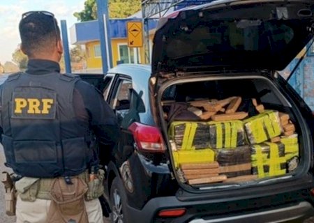 Ivinhema - PRF apreende 804 kg de maconha e recupera veículo