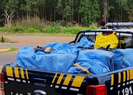 PRF apreende maconha, cocaína e haxixe na BR-262