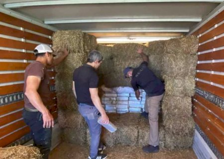Carga de maconha escondida em alfafa é apreendida na fronteira com MS