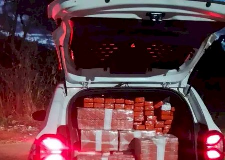Reintegração de posse revela depósito de maconha em residência