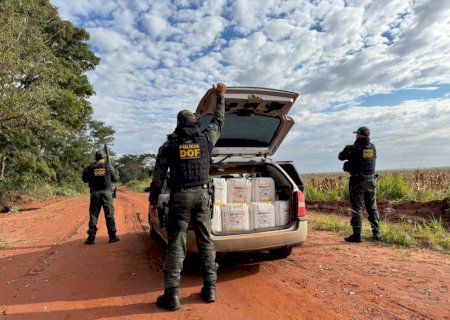 DOF apreende veículo carregado com agrotóxicos