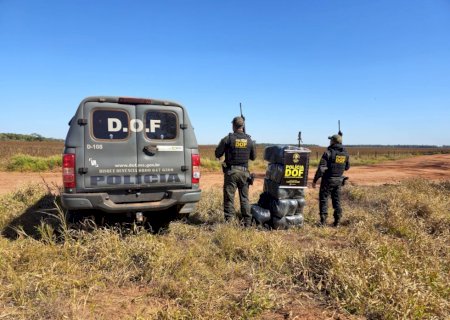 DOF apreende quase cem quilos de drogas em meio a mata