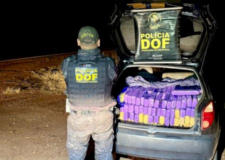 Veículo com mais de 730 quilos de drogas é apreendido pelo DOF