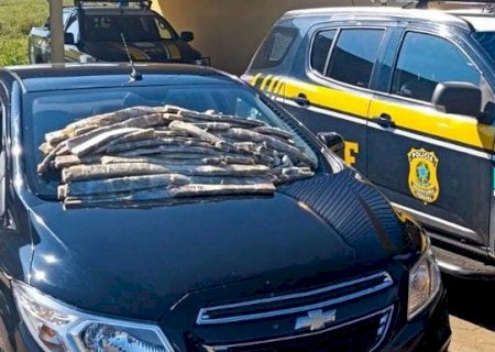 PRF apreende 35 Kg de maconha “ICE”
