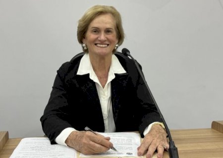 Professora Denir pede cascalhamento em estrada da Gleba Azul