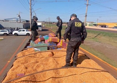 Motorista é preso com carga milionária de maconha que seria levada a Santa Catarina