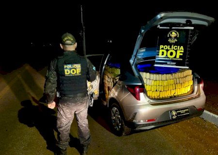DOF apreende veículo roubado com mais de mil kg de drogas