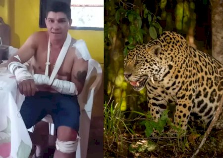 Homem que disse ter sido atacado por onça na realidade atropelou animal, diz PRF