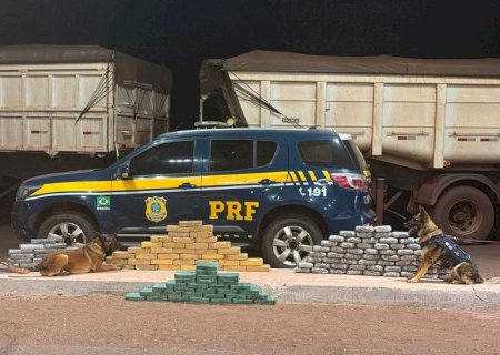PRF apreende 133 Kg de cocaína e maconha