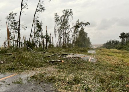 Temporal causa danos no Cone Sul: Árvores caíram sobre rodovias e Agesul pede atenção dos motoristas