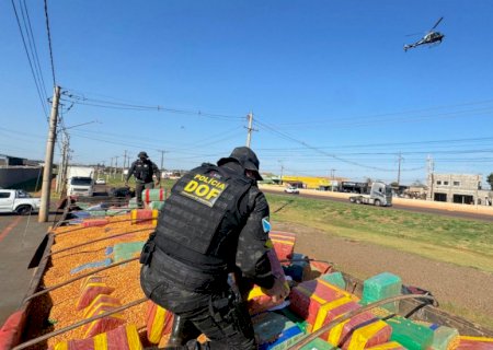 Carga de droga apreendida pelo DOF pesou 15 toneladas