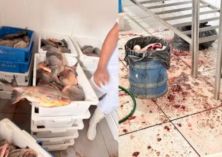 Peixaria é interditada em MS após apreensão de 3 toneladas de peixe impróprio para consumo