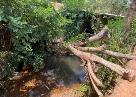 Idoso morre afogado ao cair tentando pegar água em córrego