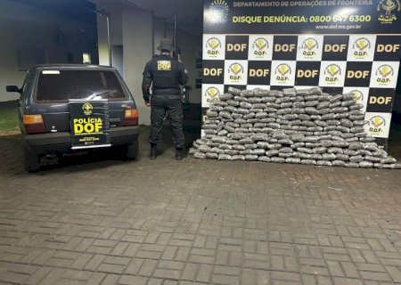 Polícia fecha entreposto com mais de 200kg de skunk e prende homem