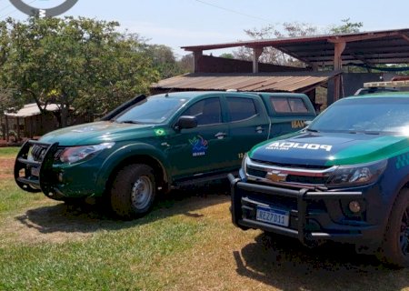 PMA acompanha relatos de onça-pintada em área rural