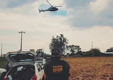 DOF localiza entreposto e apreende 17 veículos carregados de materiais ilegais