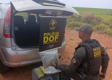 DOF apreende drogas que estavam ocultadas em forno elétrico