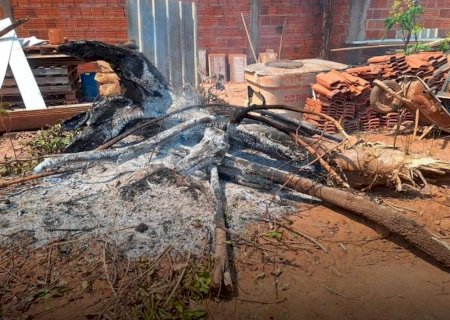 PMA autua proprietário por queima irregular de resíduos vegetais