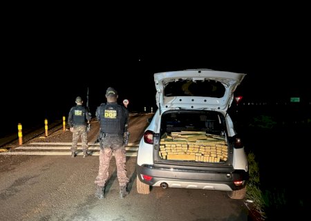 DOF apreende mais de 700 quilos de droga em carro roubado em São Paulo