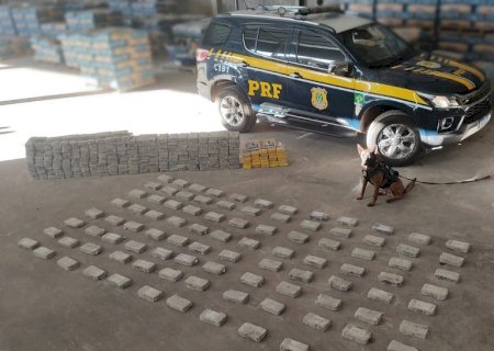 PRF apreende 386 kg de cocaína escondidos em carga de cimento