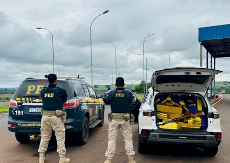 PRF apreende 1 tonelada de maconha e recupera veículo