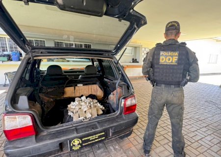 DOF apreende haxixe marroquino avaliado em mais de R$ 650 mil em compartimento oculto de carro