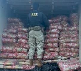 PRF apreende quase duas toneladas de maconha na divisa entre MS e SP