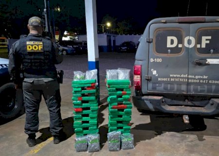 DOF apreende maconha e skunk abandonados às margens de rodovia