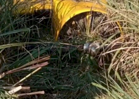 Avião agrícola que prestava serviços para usina, cai e mata dois ocupantes