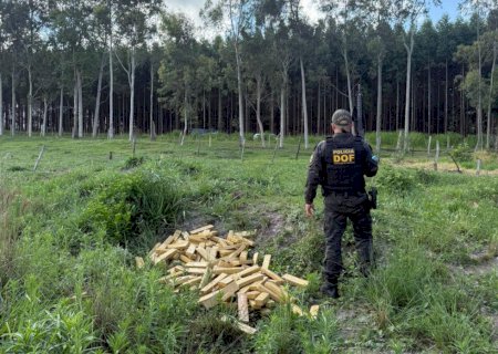 DOF apreende mais de 300 quilos de droga após veículo ficar atolado