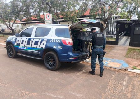 Ivinhema - Polícia Militar prende homem por descumprimento de medida protetiva