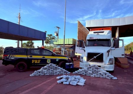 PRF apreende 172 Kg de skunk  na BR -262