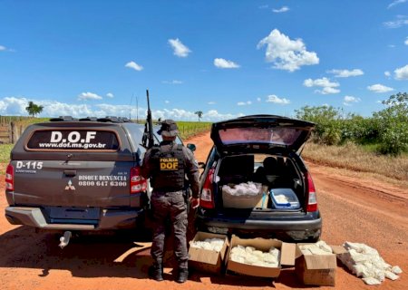 DOF apreende carro com mais de 150 quilos de agrotóxicos na BR-487