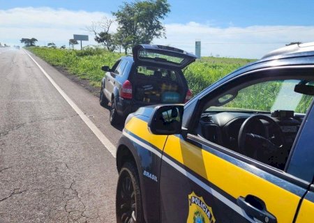 PRF apreende 185 Kg de maconha na BR - 267
