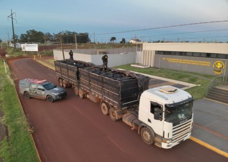 DOF apreende mais de 200 pneus de caminhão que seriam entregues em Mato Grosso